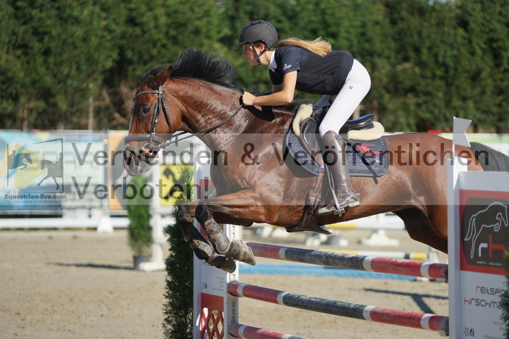 DSC01210 | equestrian-live-com