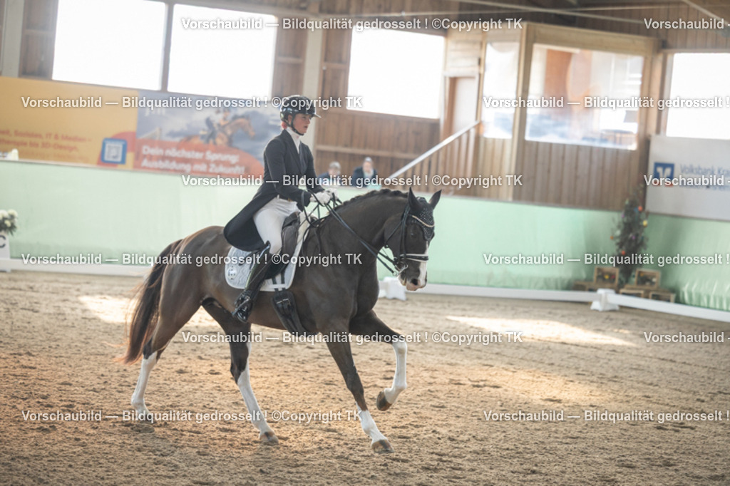 _D5A7879 | Emotionale Pferde- & People-Fotografie rund um Heidelberg, Leimen & Umgebung. Natürliche Fotos von Pferd, Mensch & Familie. Jetzt Termin sichern!