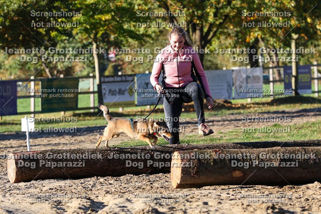 Dog Paparazzi - Strongdog 10-25-1292 | Dog Paparazzi Jeanette Grottendiek Fotografie & Videografie - Realisiert mit Pictrs.com