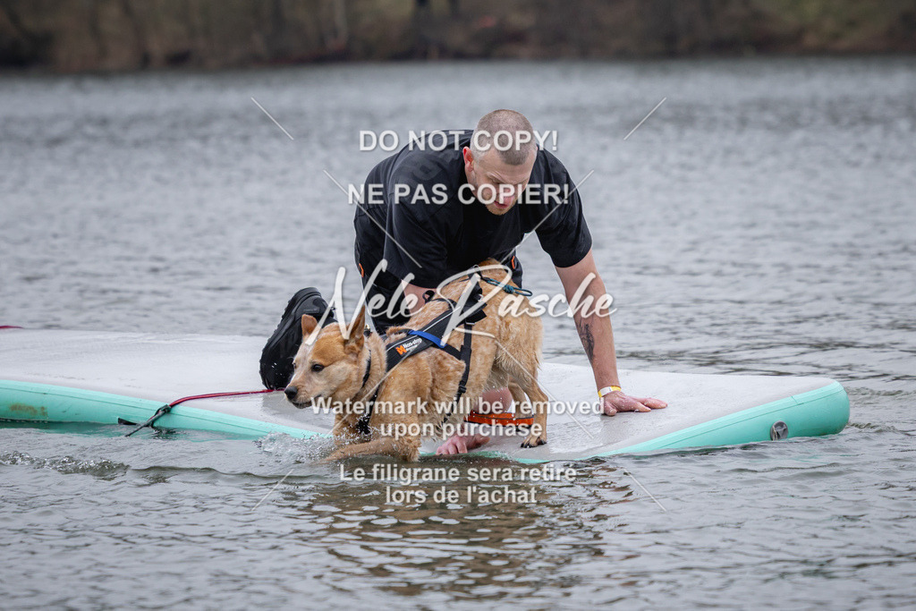 nelerasche_Hulsbeek_Sa1600-1700_251 | nelerasche