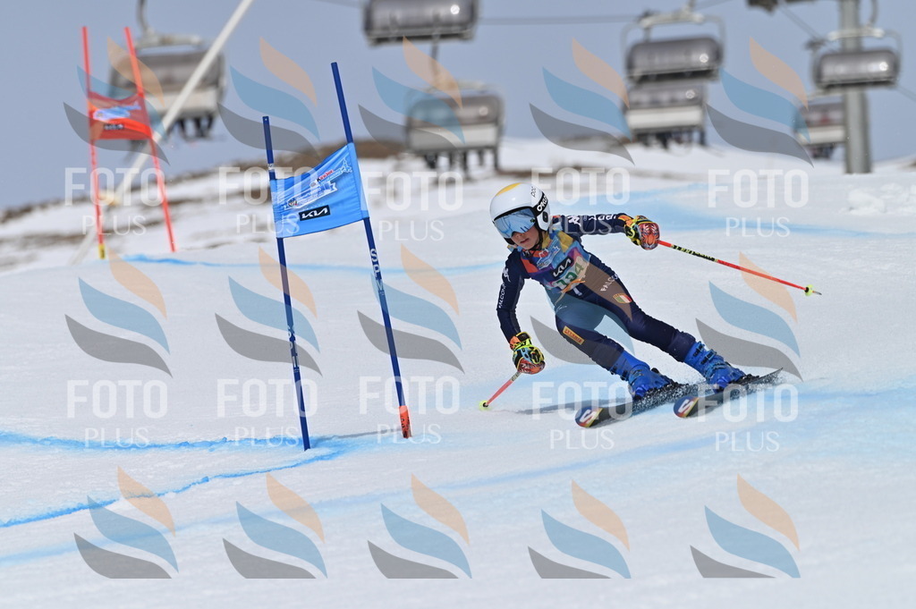 BGV_3730 | holidayphoto