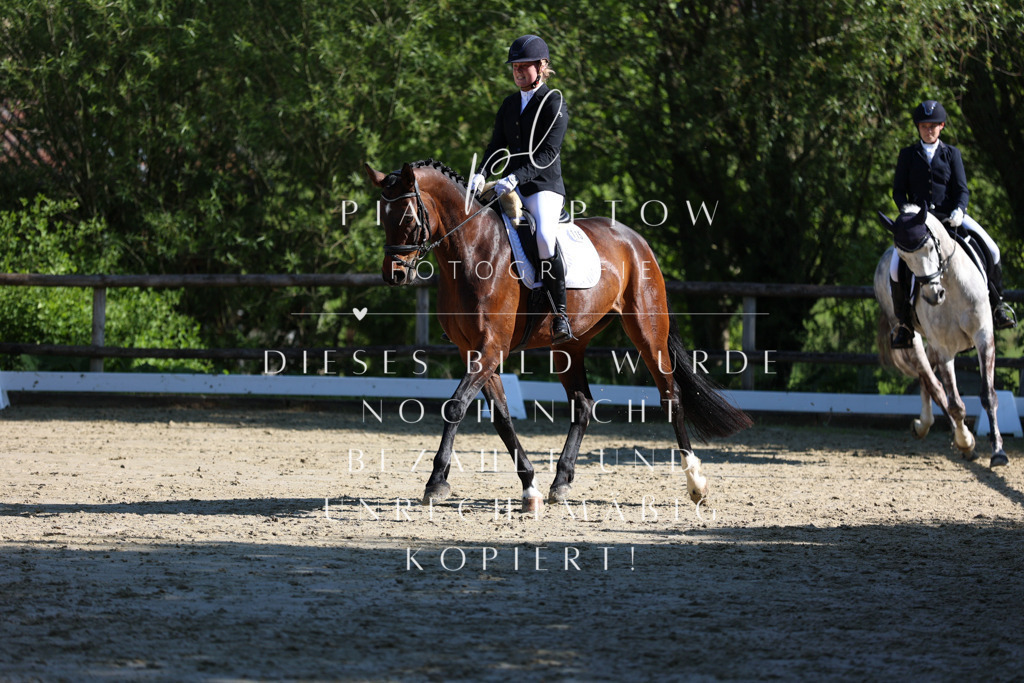 IMGT9829 | pl-fotografie