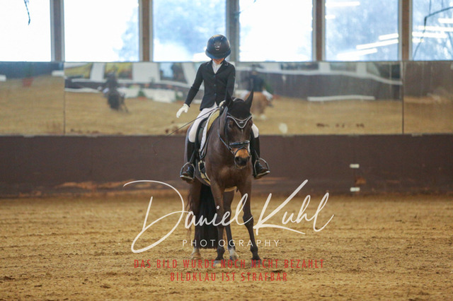 IMG_8248 | Turniersportfotografie; Pferdefotografie; Dressurfotografie