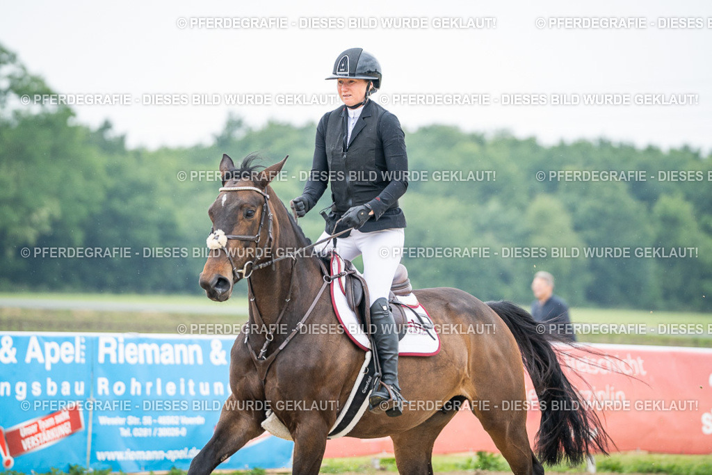 DSC00629 | Pferdegrafie