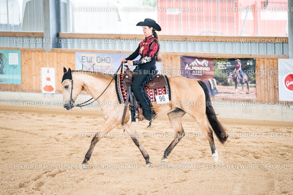 DSC01762 | Pferdegrafie