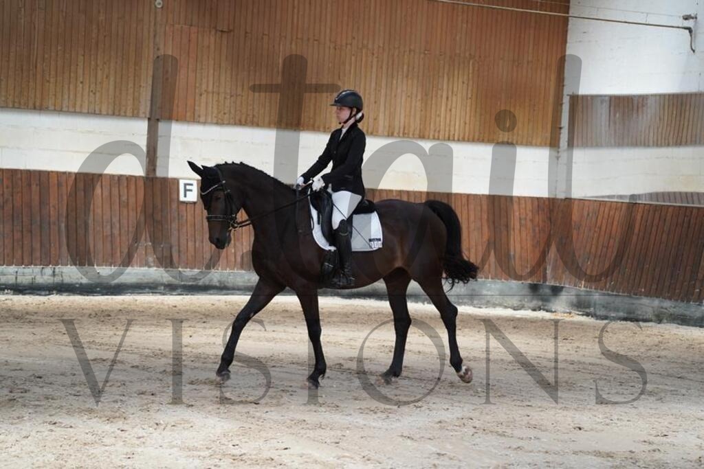 beckingen (353) | d.tail Visions - Shop - Realisiert mit Pictrs.com