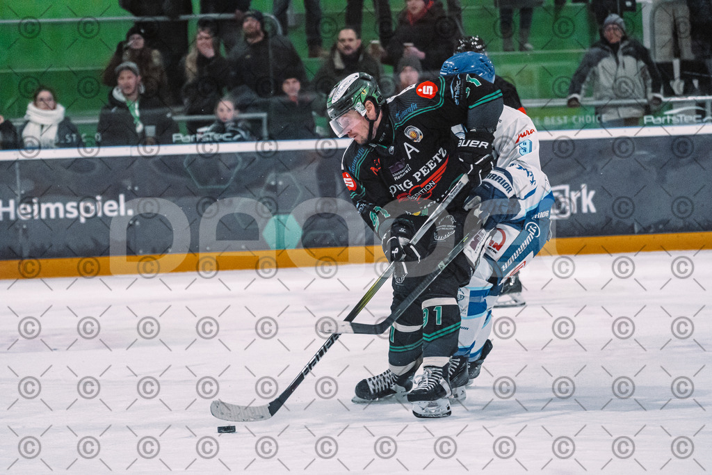 Alligators_vs_Riessersee_03_02_2026-30 | Höchstadt Alligators Fotogalerie: Eishockey-Action aus Franken. Professionelle Spielfotos, Portraits & Stadionbilder zum Download. Jetzt entdecken! - Realisiert mit Pictrs.com