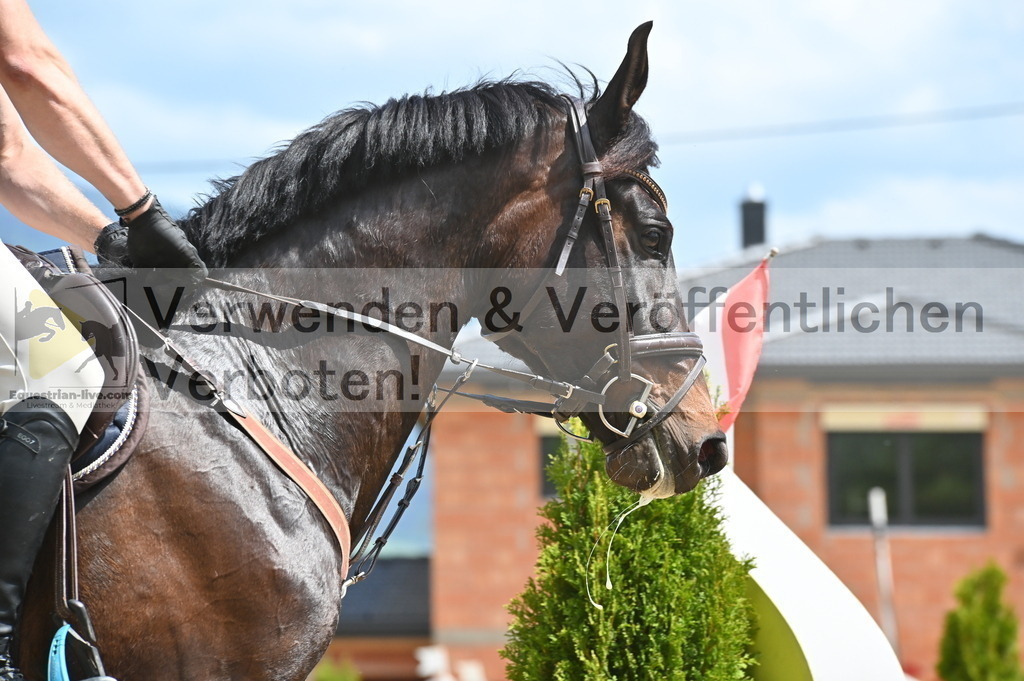 DSC_8625 | equestrian-live-com