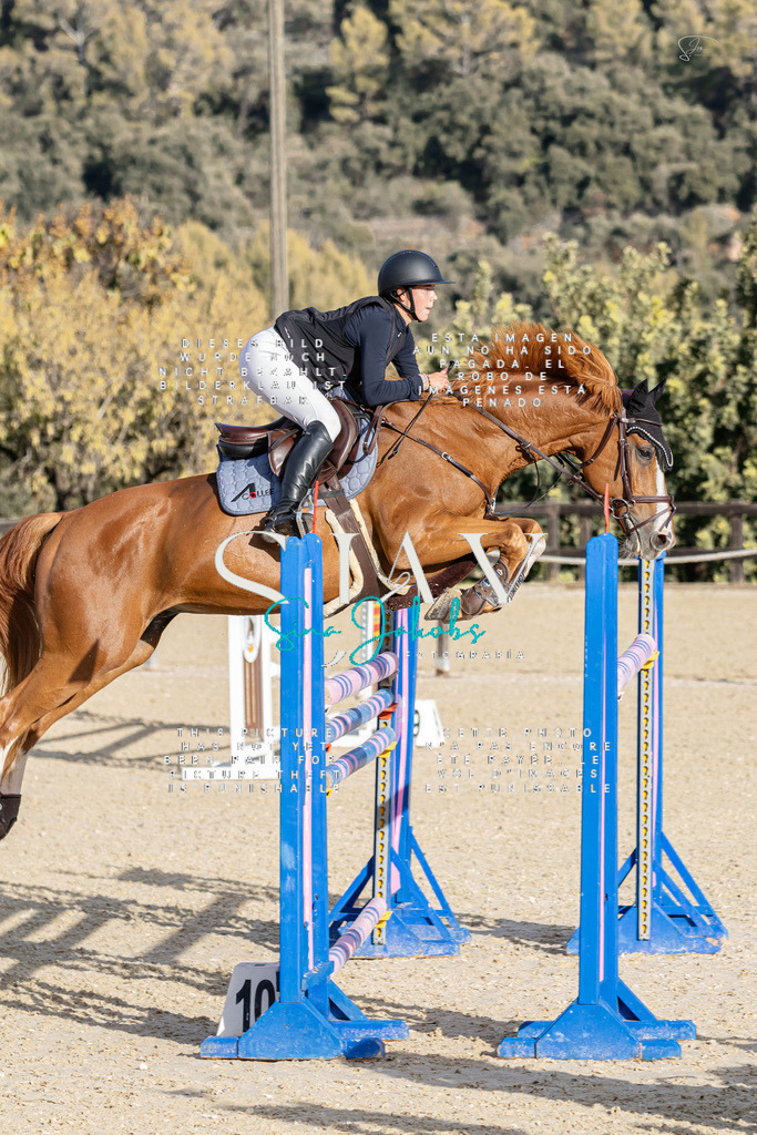 IMG_0567 | s-jay-photography - Realisiert mit Pictrs.com