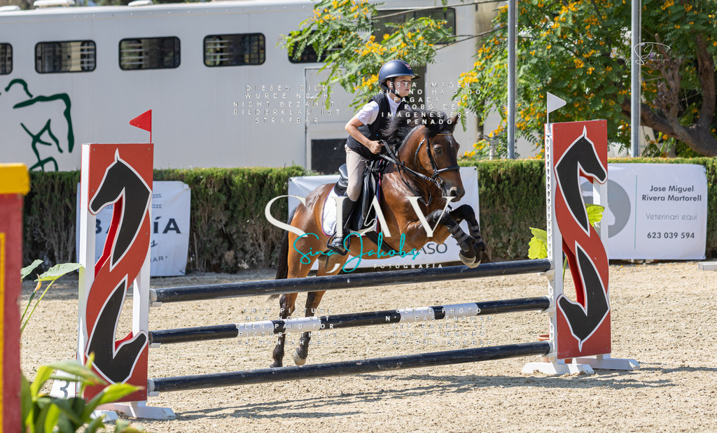 IMG_0006 | s-jay-photography - Realisiert mit Pictrs.com