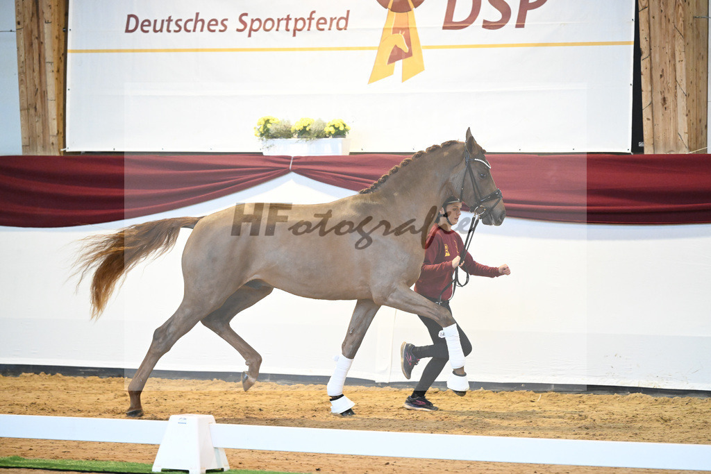 Kat-Nr. 7 v. Bon Courage_Plank_66220054 | hf-fotografie - Realisiert mit Pictrs.com