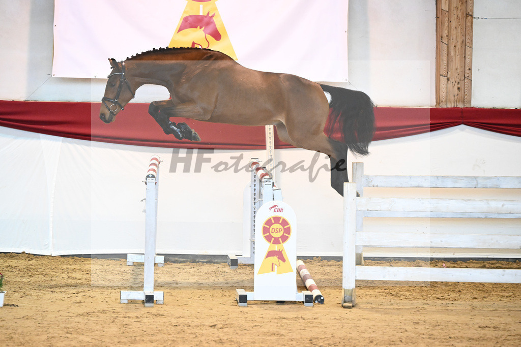Kat-Nr. 34 Herald x Nimmerdor_Stahl_43231338 | hf-fotografie - Realisiert mit Pictrs.com