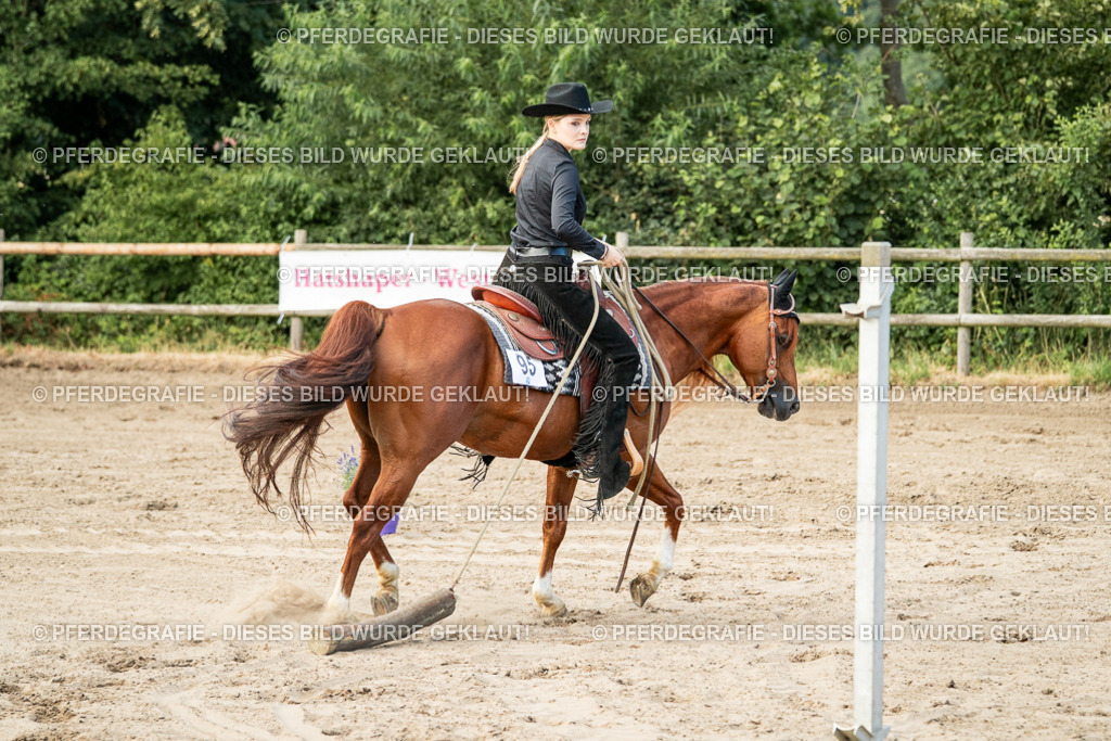 DSC06020 | Pferdegrafie