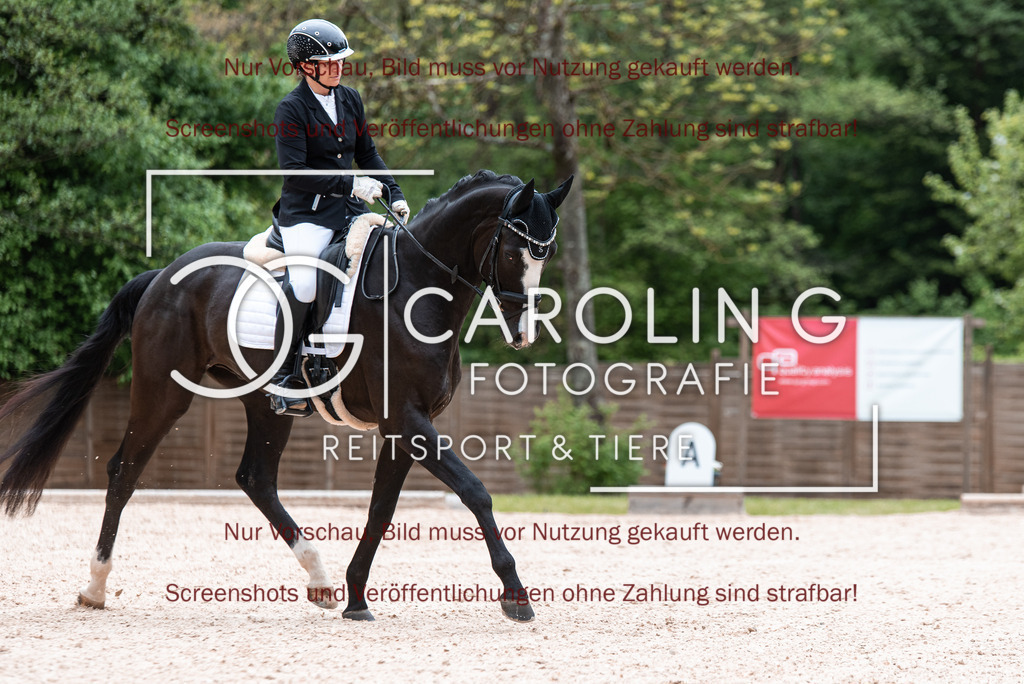 DSC_6763 | Turnierfotografin Carolin Gieschke,Reitsport Turnierfotografie Carolin G Fotografie | Turnierfotos aus Kirchheim/Teck, Esslingen, Stuttgart und dem Bodenseekreis