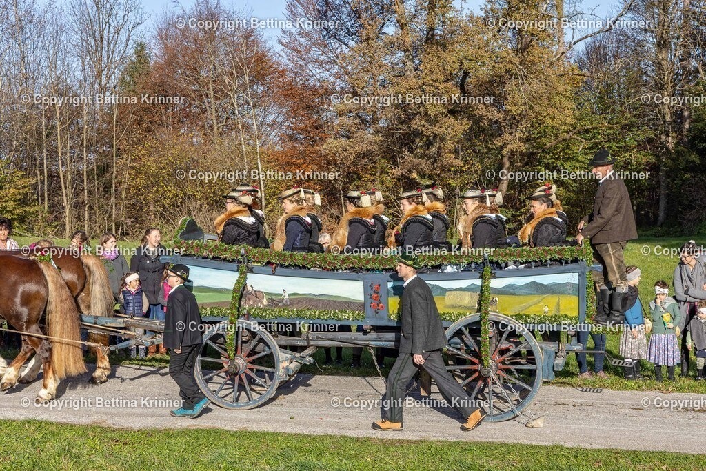 LBT24-100 | foto-bettina-krinner - Realisiert mit Pictrs.com