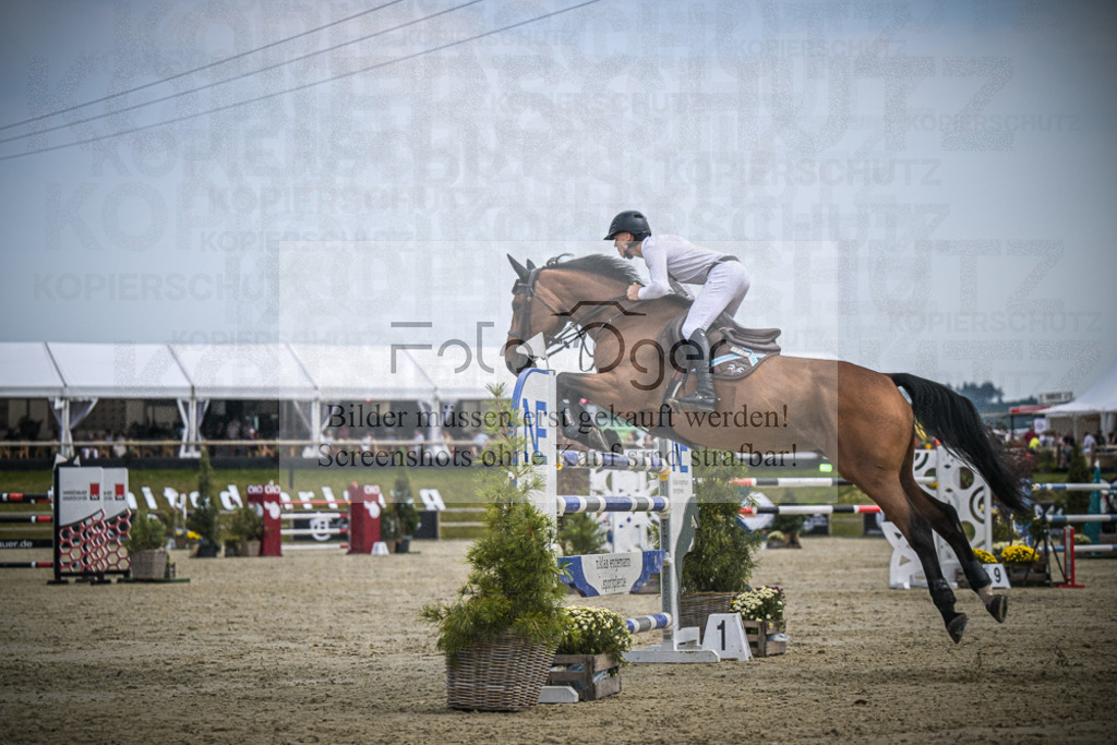 DOS_1251 | Entdecke hochwertige Reitturnierfotos von Foto Oger. Professionell, emotional und authentisch – jetzt Lieblingsmomente im Shop bestellen.Deutschlandweite Turnierfotografie. - Realisiert mit Pictrs.com