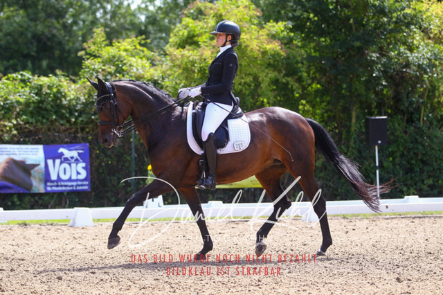 DKP40966 | Turniersportfotografie; Pferdefotografie; Dressurfotografie