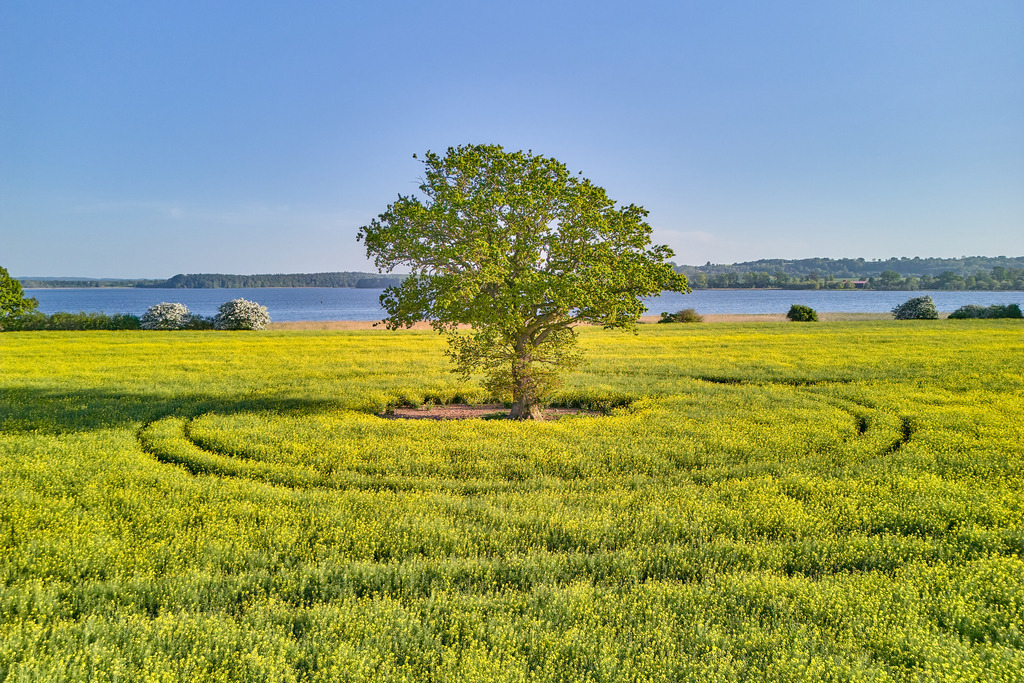 Datei 2 | Entdecken Sie hochwertige Fotoprodukte für Ihr Zuhause, Büro oder als besonderes Geschenk.rpixel.de bietet Ihnen exklusive Fotografien aus den Bereichen Natur, Landschaft und Motiven vom Meer.Einfach direkt im Online-Shop bestellen. - Realisiert mit Pictrs.com