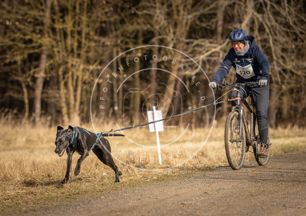 DV3A4375 | Hundefotografie, Tierfotograf, Pfotenfotografie, Fotoshooting Hund, Hunde Portrait, Hundesport, Hundeportraits, Heideshooting, Hunde, Sportfotograf, Hundefotograf, Turnierhundsport, THS,  - Realisiert mit Pictrs.com