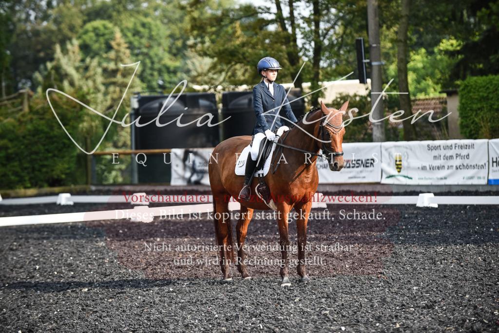 DSC_3350 | Pferde- und Turnierfotografie in Westsachsen. Pferdeportraits, Auftragszeichnungen und intuitive Kunst.