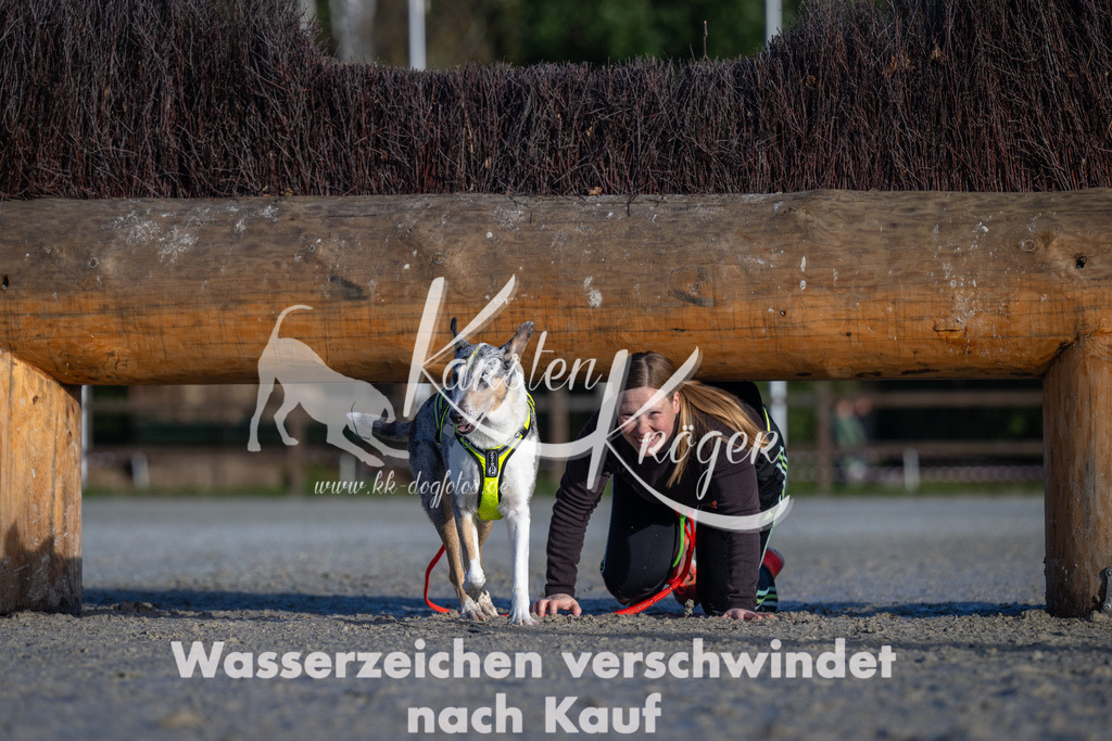 0957-90118 | kk-dogfotos