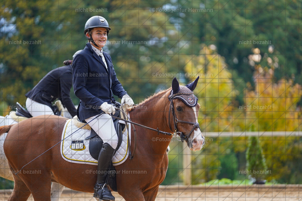 20221008-FAH00741 | Diessen am Ammersee, 2022, Dressur- und Springturnier, Reitsportbilder, Turnierfotografen Bayern, Pferdefotografen, Fotoagentur Herrmann, Turnierbilder