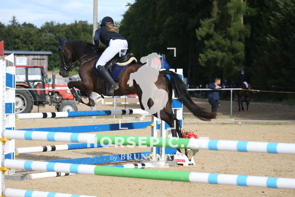 DL2Q3715 | Willkommen bei Brunnmayr - Design & Fotografie – Ihrem Spezialisten für Reitturniere und Pferdeveranstaltungen in Oberösterreich, Salzburg und Bayern! Seit über 17 Jahren sind wir leidenschaftlich dabei.