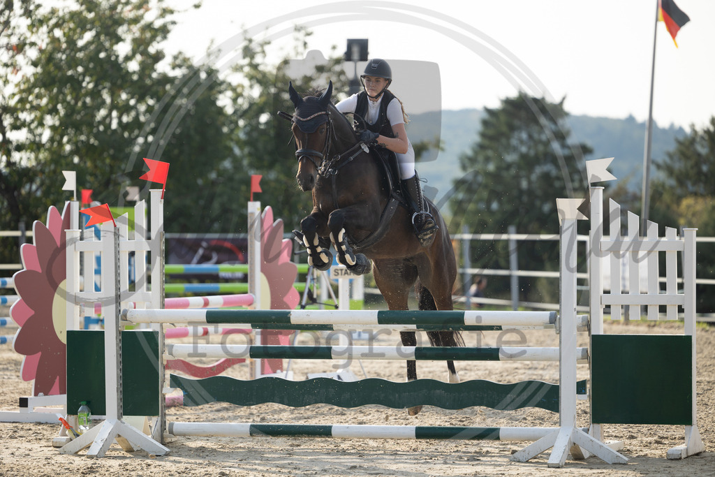 994A2113 | sabrinanicolaifotografie - Realisiert mit Pictrs.com