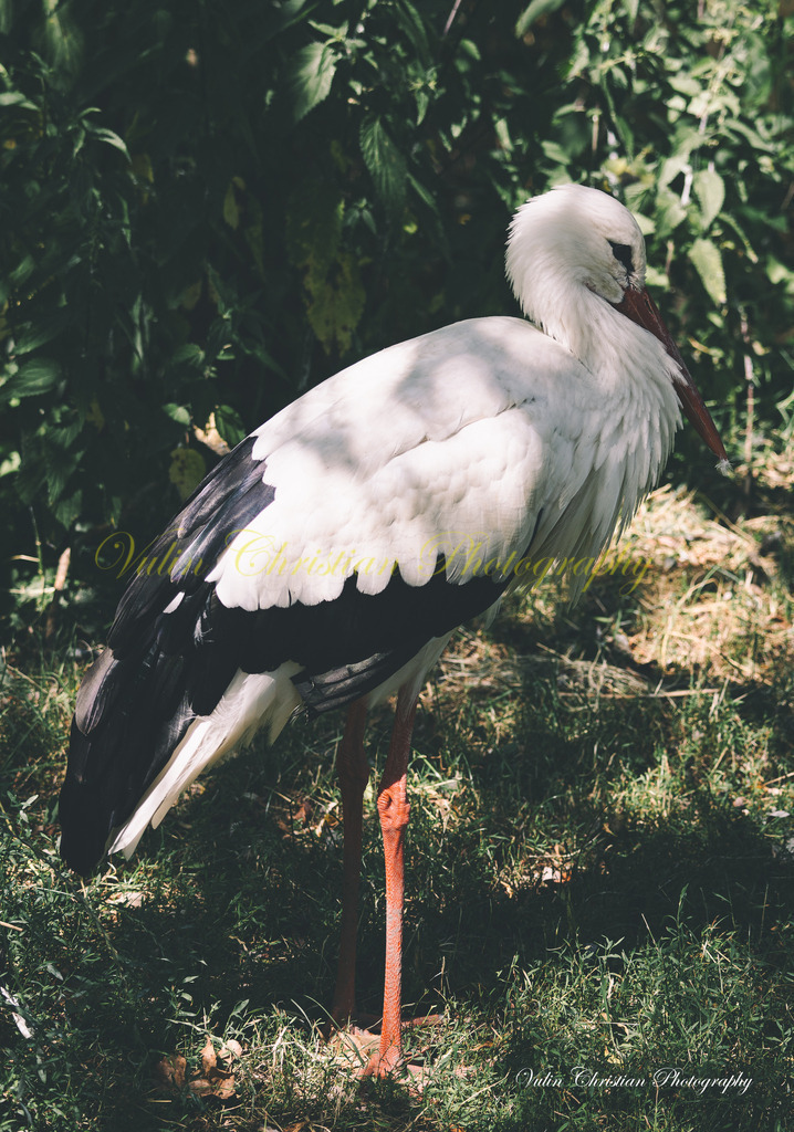 PH 12 | Christian Vulin  - Realisiert mit Pictrs.com