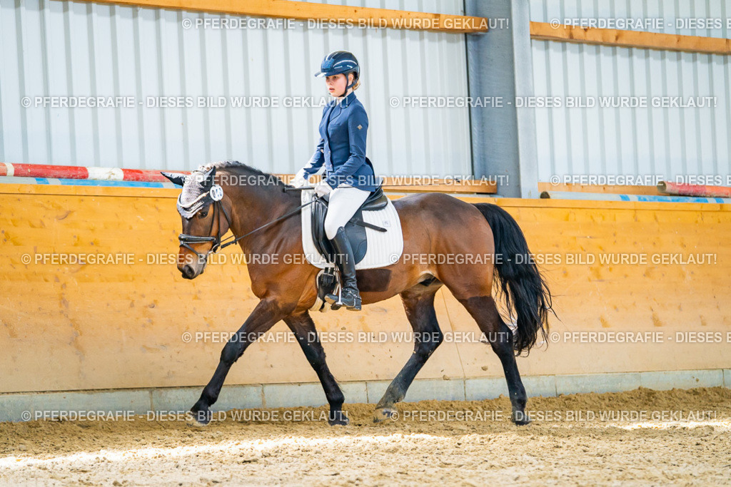 DSC08287 | Pferdegrafie