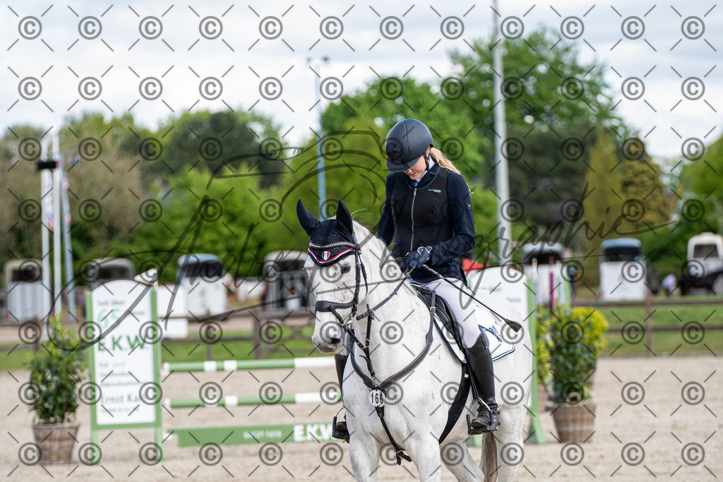 KPT_5022 | andre_photographic