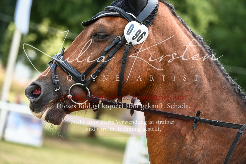 DSC_8465 | Pferde- und Turnierfotografie in Westsachsen. Pferdeportraits, Auftragszeichnungen und intuitive Kunst.