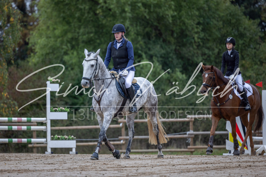 20251012-_3LI2467 | Tierfotografie Pferde, Hunde, Katzen, Haustiere.
Turnierfotografie Reitturniere, Reiten, Springreiten, Dressur in Hanau, dem Main-Kinzig-Kreis und dem Rhein-Main- Gebiet um Frankfurt
