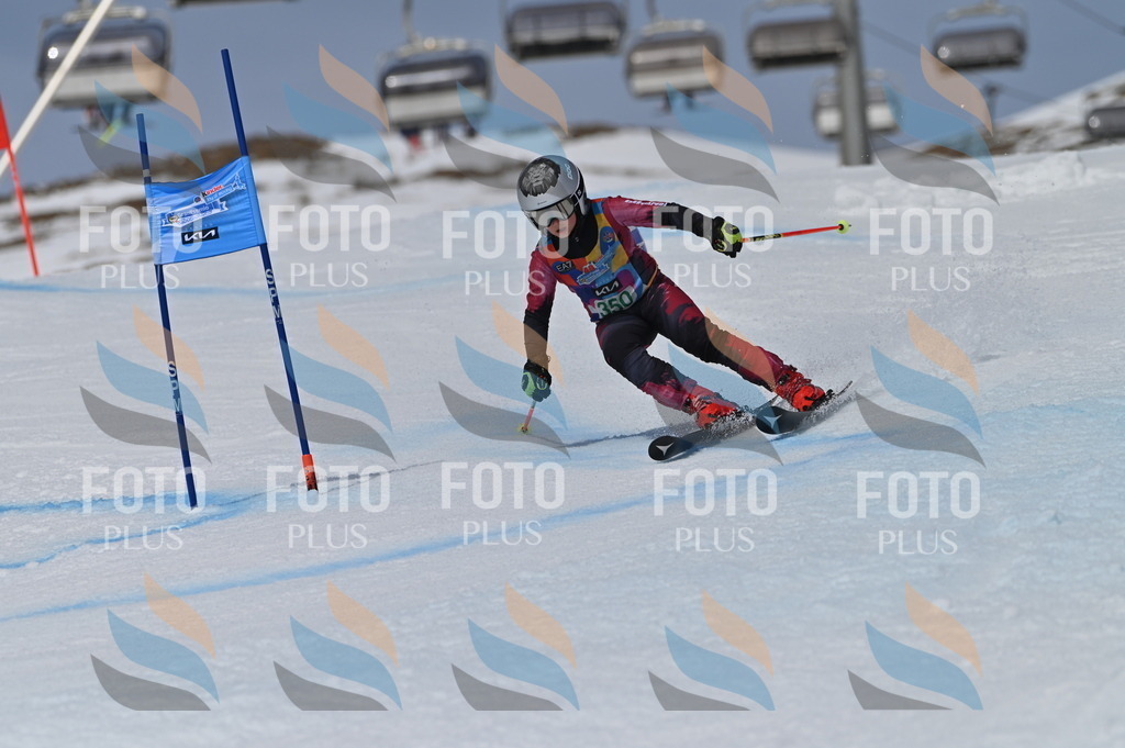 BGV_6889 | holidayphoto