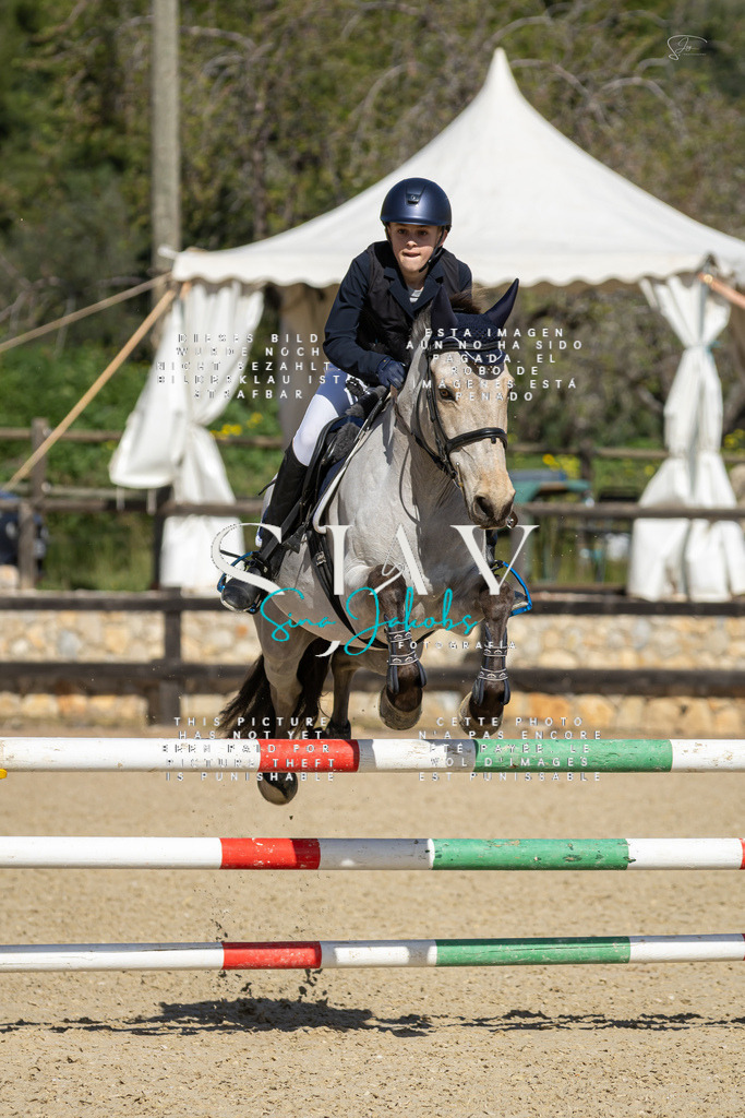 IMG_6460 | s-jay-photography - Realisiert mit Pictrs.com