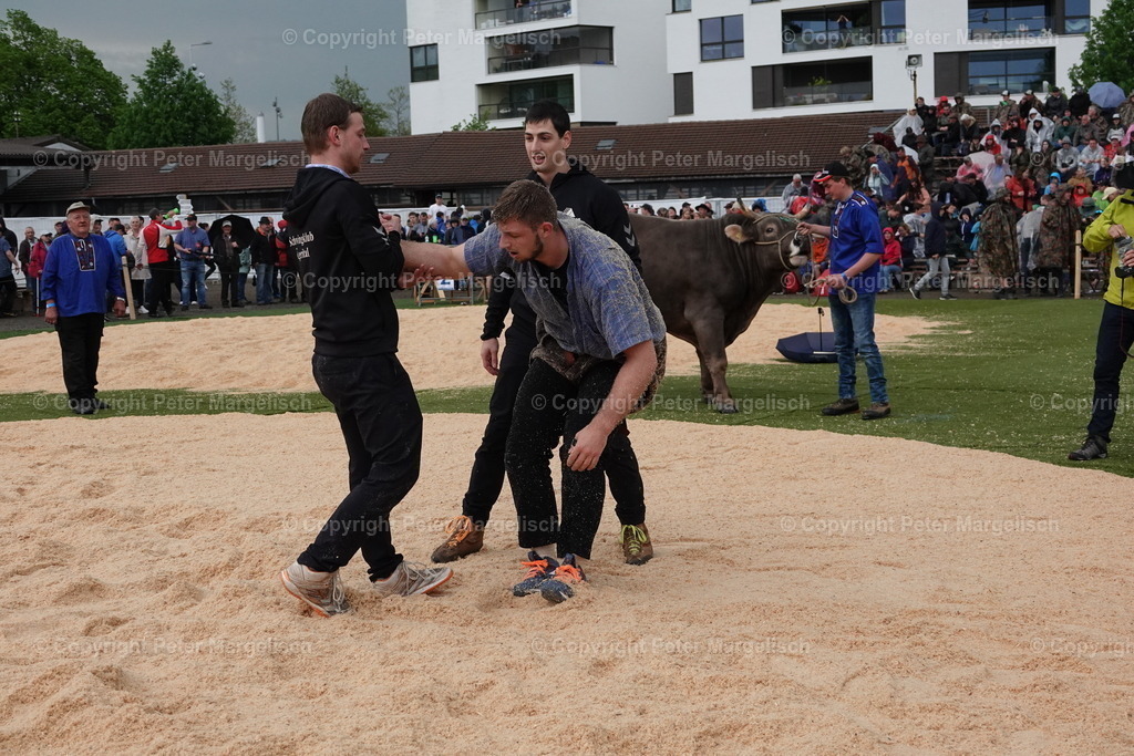 DSC03732 | Schwingen - Realisiert mit Pictrs.com