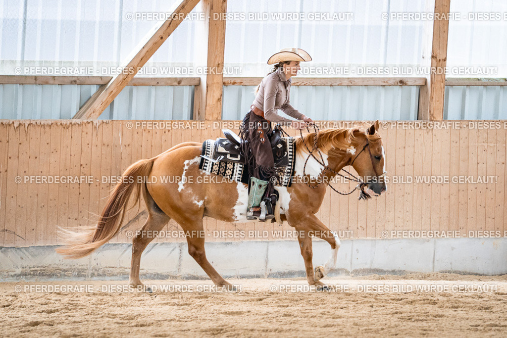 DSC09049 | Pferdegrafie