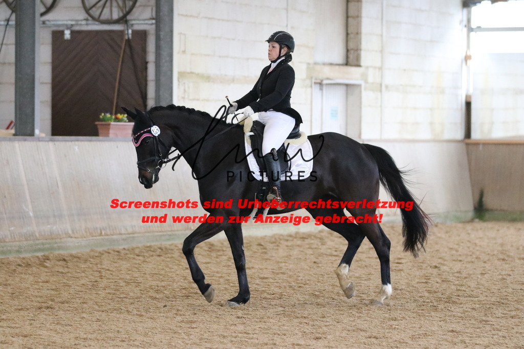 IMG_8351 | lmwpictures - Realisiert mit Pictrs.com