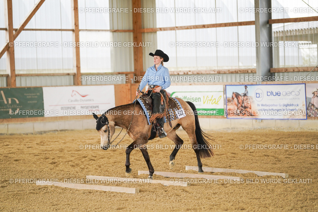 DSC03465 | Pferdegrafie