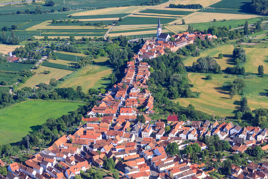 Luftbild: Hinterstädel von Norden in Jockgrim im Bundesland Rheinland-Pfalz in Deutschland. Foto: IMG_42462.jpg vom 27.06.2011 durch Werner Riehm/FLY-FOTO.de