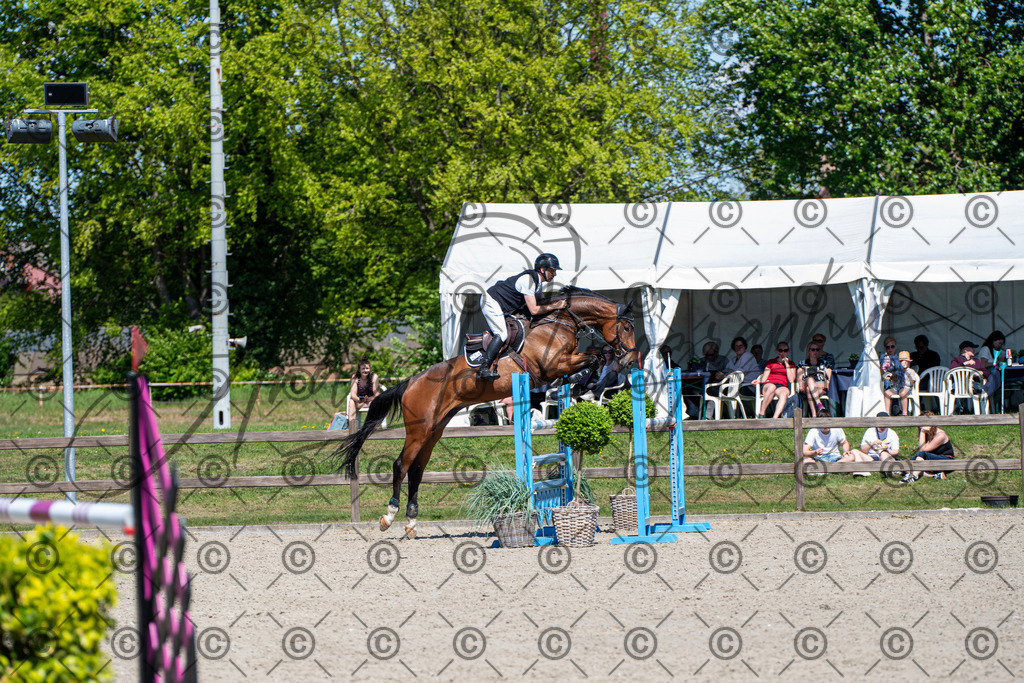 KPT_1361 | andre_photographic