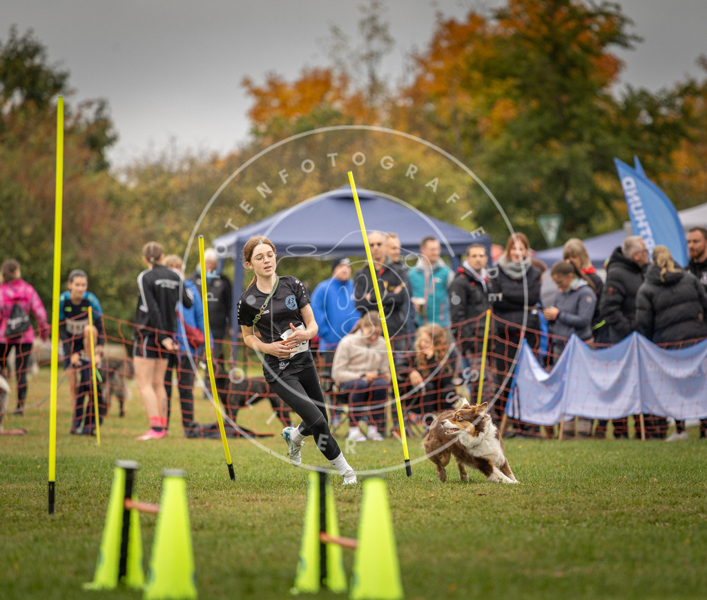 Pfotenfotografie_DV3A6500 | Hundefotografie, Tierfotograf, Pfotenfotografie, Fotoshooting Hund, Hunde Portrait, Hundesport, Hundeportraits, Heideshooting, Hunde, Sportfotograf, Hundefotograf, Turnierhundsport, THS,  - Realisiert mit Pictrs.com