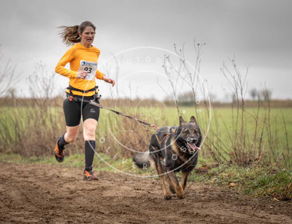 DV3A0049 | Hundefotografie, Tierfotograf, Pfotenfotografie, Fotoshooting Hund, Hunde Portrait, Hundesport, Hundeportraits, Heideshooting, Hunde, Sportfotograf, Hundefotograf, Turnierhundsport, THS,  - Realisiert mit Pictrs.com