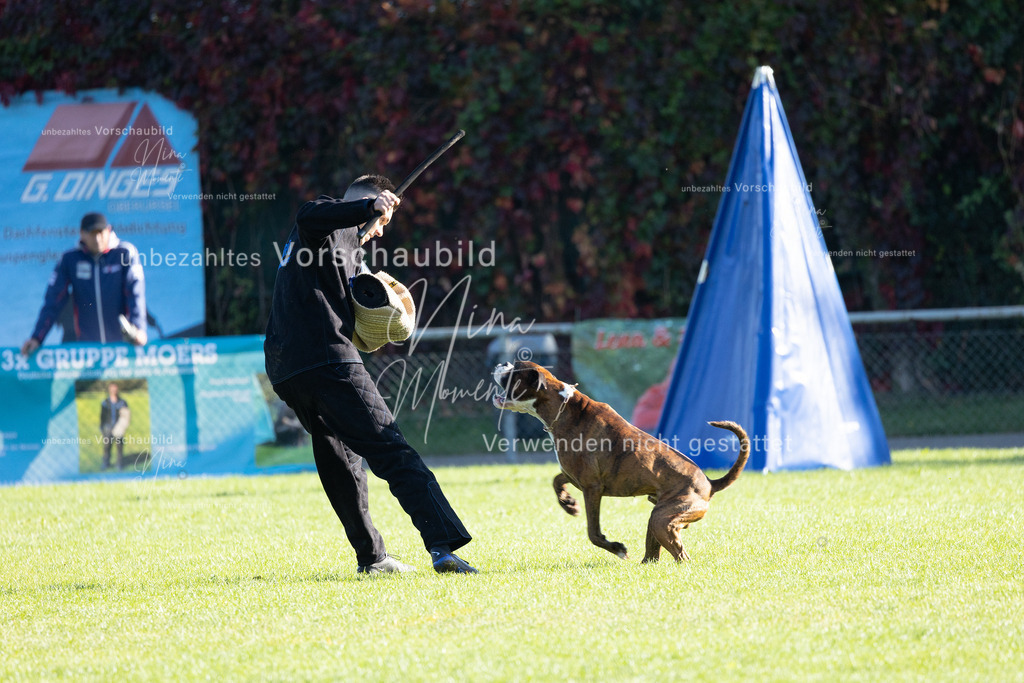 _16A5026 | Einzigartige Fotos von Hunden & Menschen –Actionfotos, Portraits, Vereinsaufnahmen & Paarshootings – authentisch, lebendig & mit Herz.