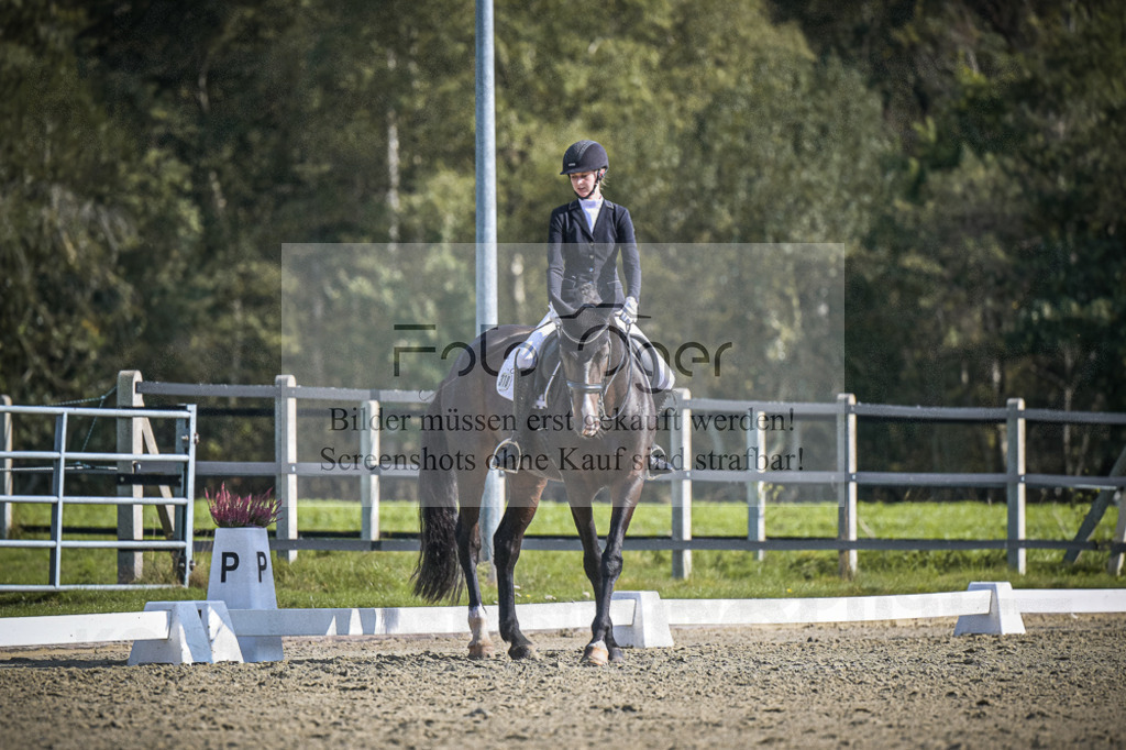 DOS_1858 | Entdecke hochwertige Reitturnierfotos von Foto Oger. Professionell, emotional und authentisch – jetzt Lieblingsmomente im Shop bestellen.Deutschlandweite Turnierfotografie. - Realisiert mit Pictrs.com