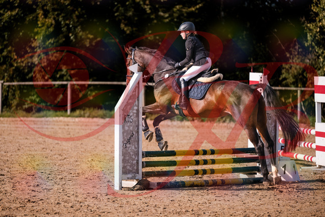 2026_10_03_Siefer-Hof_155916_Z81_79141980 | Professionelle Reitsport-, Turnier- und Eventfotografie von Robert Broda. Galerien mit ausgewählten und bearbeiteten Bildern direkt online ansehen und bestellen.