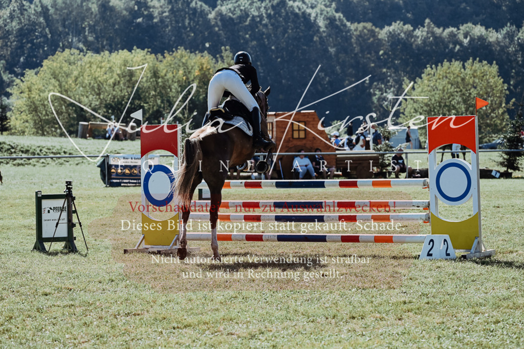 DSC_5402 | Pferde- und Turnierfotografie in Westsachsen. Pferdeportraits, Auftragszeichnungen und intuitive Kunst.