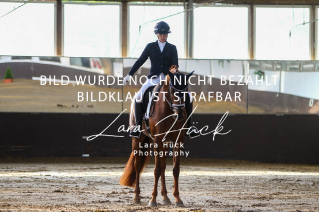 DKP45699 | larahueckfotografie
