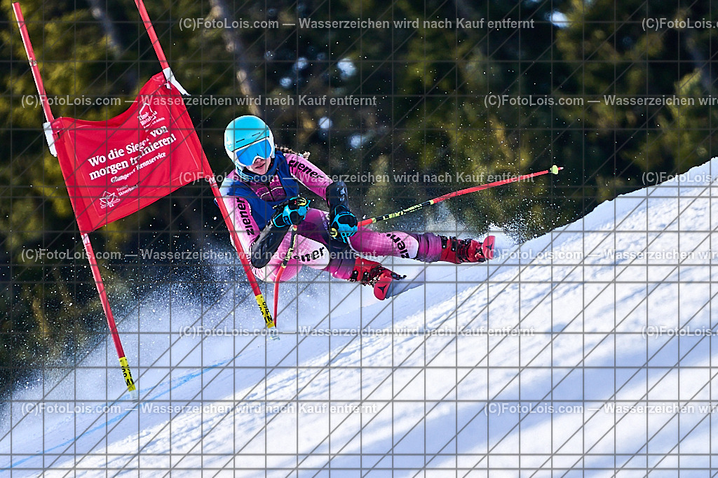 _ALP1231_FIS-Masters-GS-I_Glungezer_Stelzl Martina | FIS-MASTERS-WorldCup am Glungezer, GiantSlalom-I, Sa 17. Jänner 2026.