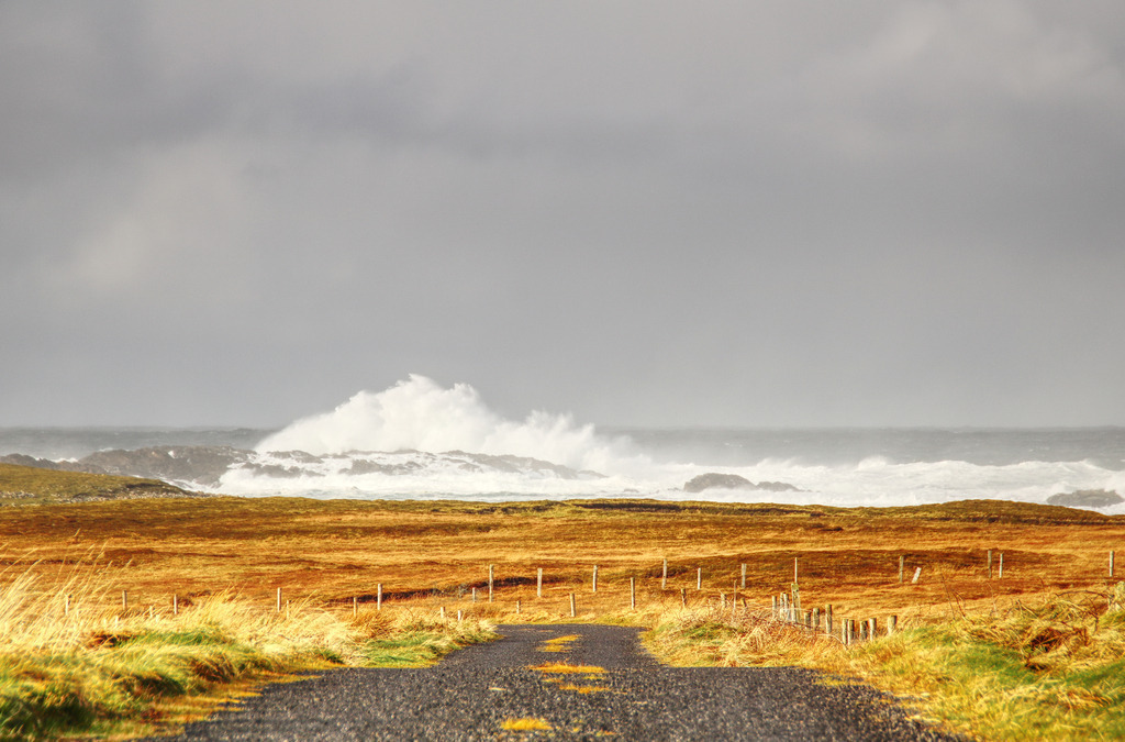 IMG_8668 | www-pimpup-me - Realisiert mit Pictrs.com